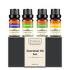 Lavender Plant Essential Oil For Humidifier
